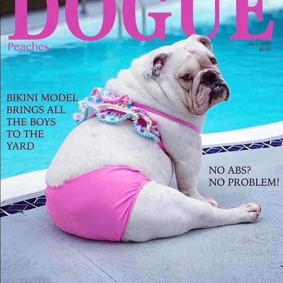 Meet your Posher, Jessi - Picture 3 of 13